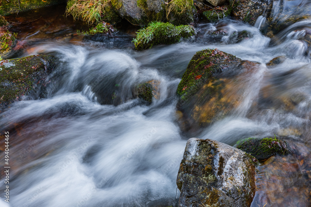 waterfall in the forest