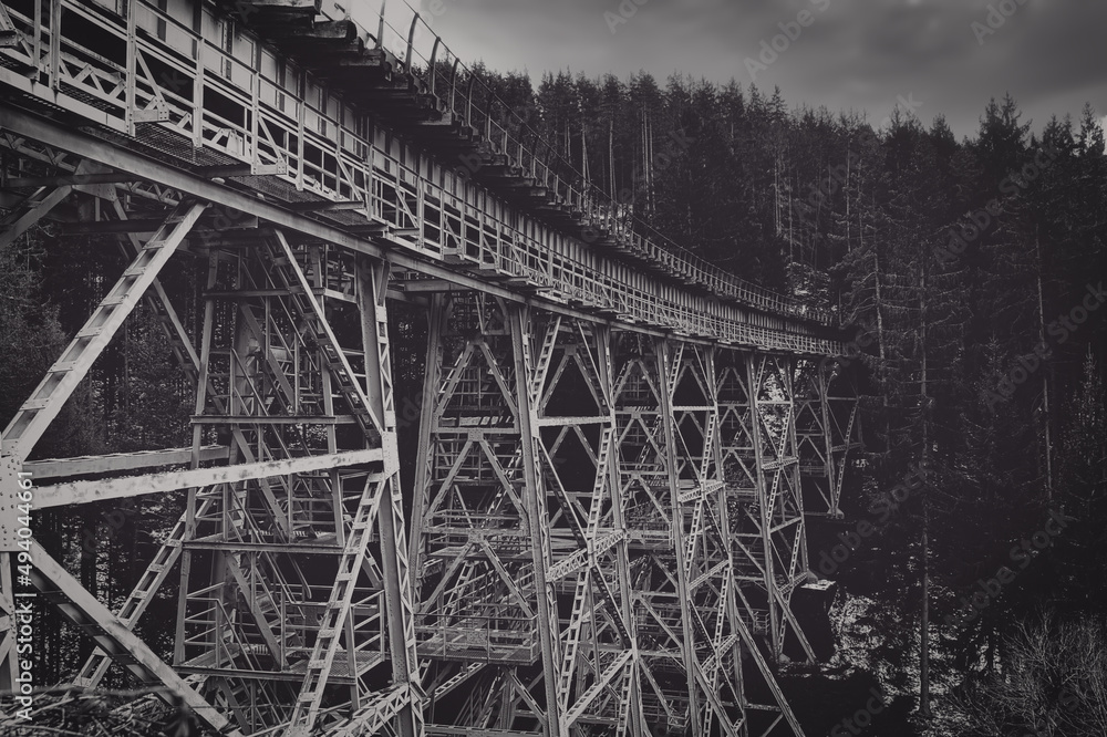 Rusty old iron railway bridge over a forrest valley Rusty old iron railway bridge over a forrest valley