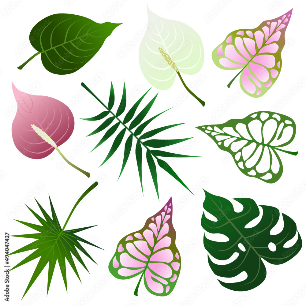 Fototapeta premium Set of topical and colorful leaves.