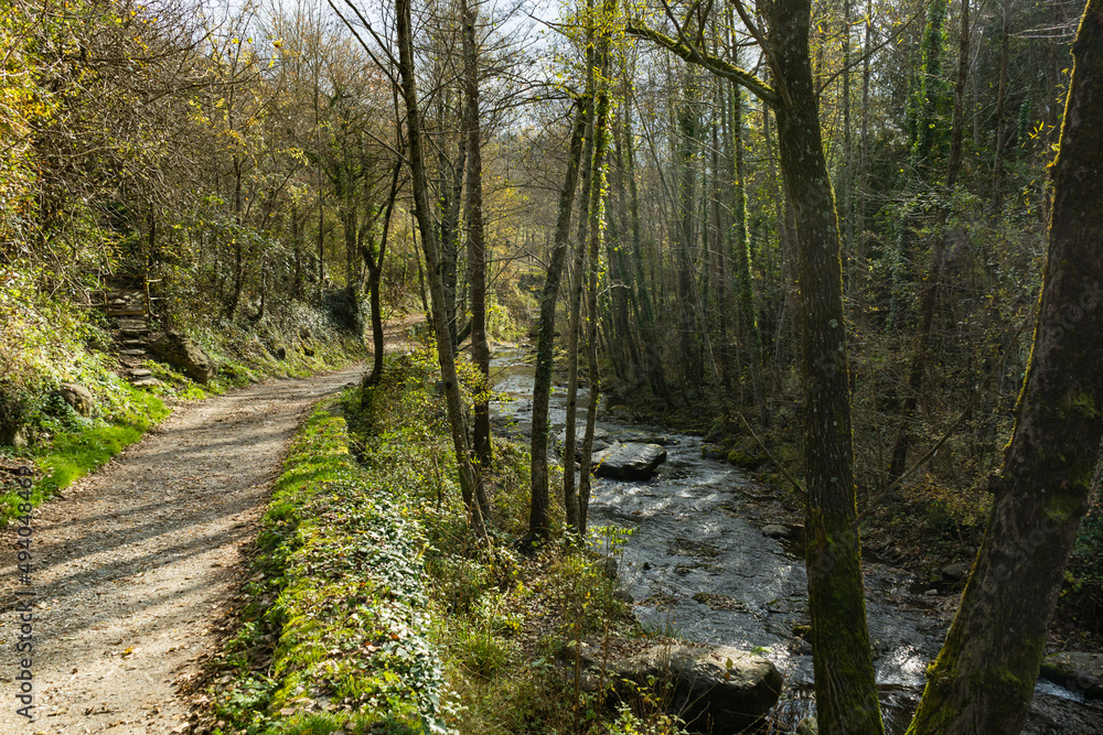 Obraz premium Forest river landscape.Beautiful view relaxing river with footpath for walk and relax.Environment nature concept