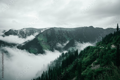 Canvas Print Heavy mist over the green mountains with the dense forests
