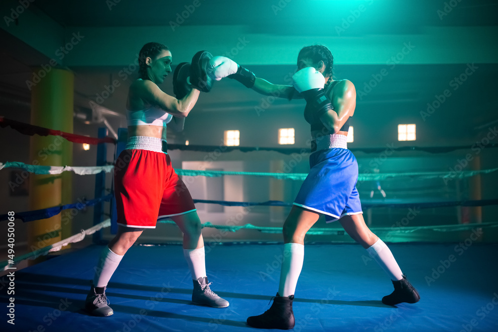 Side view of young girls working out punches. Two sporty girls in sportswear preparing for boxing match, practicing to use strength and speed to win in bout. Active sport and womens boxing concept