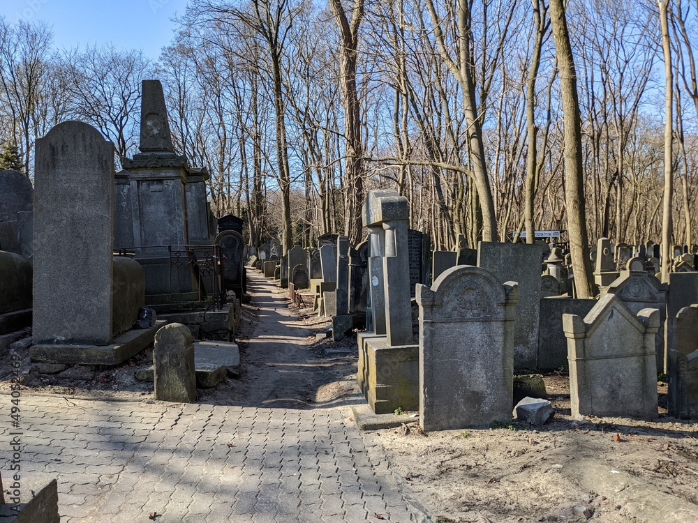 Jewish cemetery in Poland, Warsaw Jewish cemetery in Poland, Warsaw
