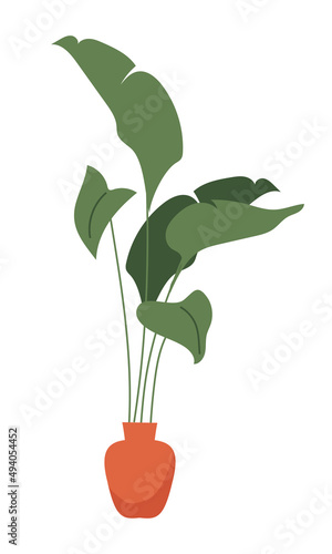 Monstera deliciosa plant for house interior semi flat color vector object. Full sized item on white. Large foliage houseplant simple cartoon style illustration for web graphic design and animation