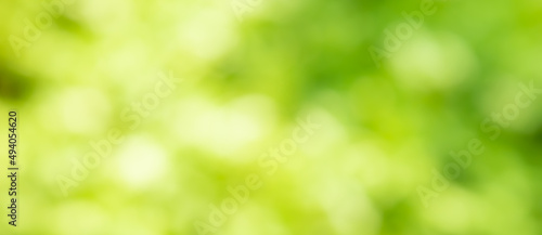 green bokeh background © arwiyada