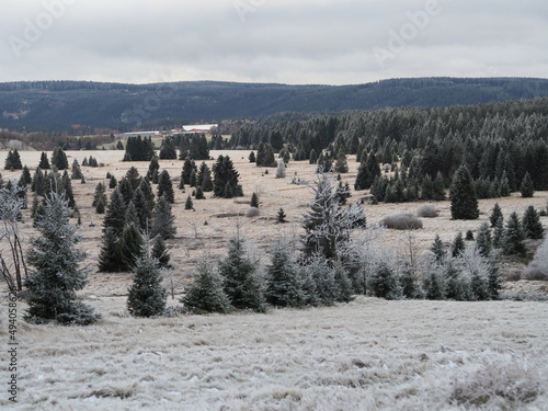 Krusne hory mountains Czech republic