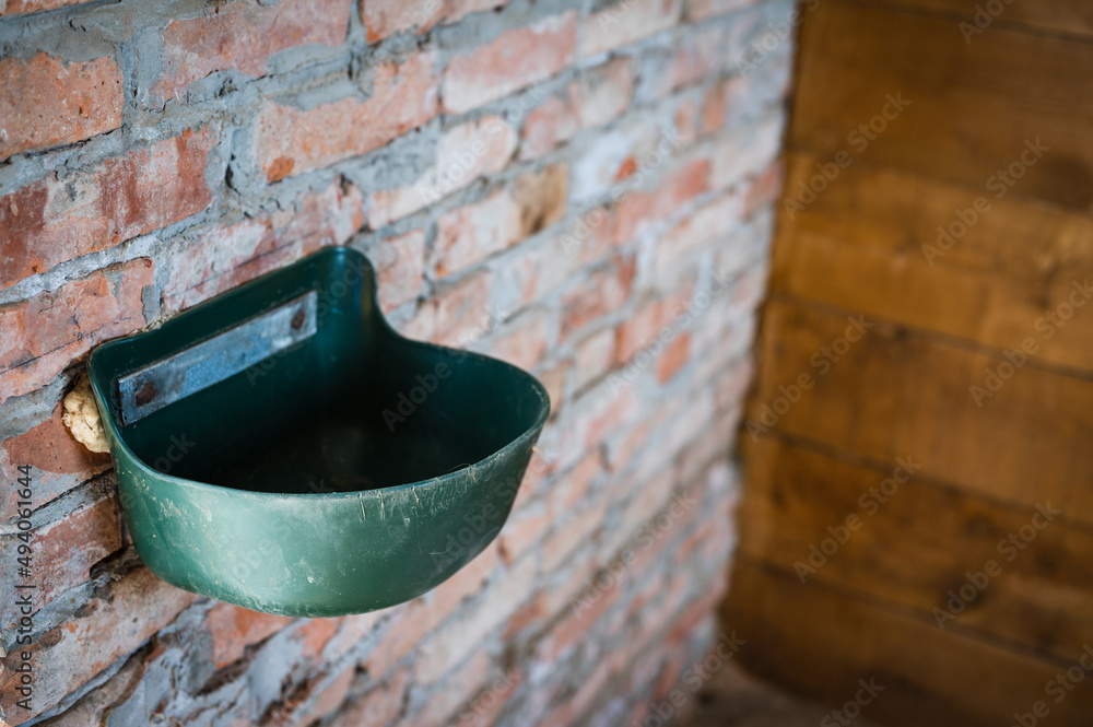 Plastic horse feeder bucket on brick wall in stable, selective focus,
