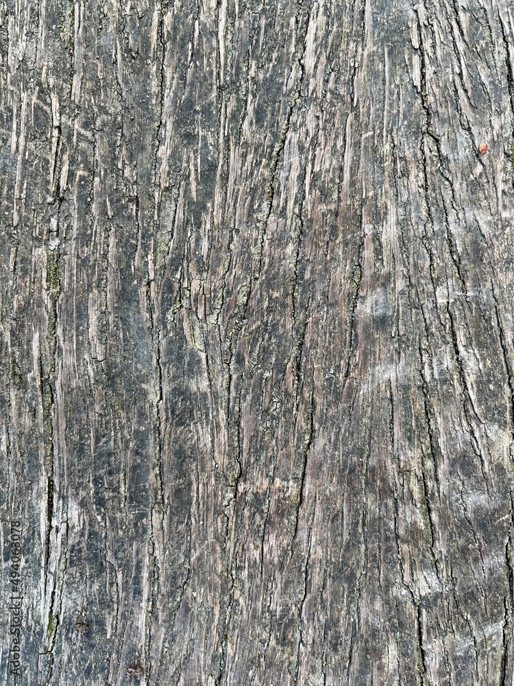 Verwitterte Textur einer Rinde von einem Baum Verwitterte Textur einer Rinde von einem Baum
