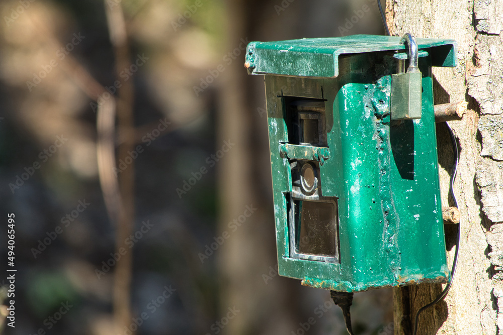 hunting camera, camera attached to a tree, used by hunters to spy wild animals hunting camera, camera attached to a tree, used by hunters to spy wild animals