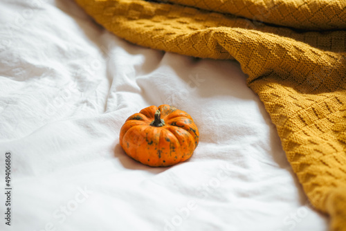 Closeup of a single orange pumpkin on a bed- white bedsheets, yellow ochre knitted blanket photo