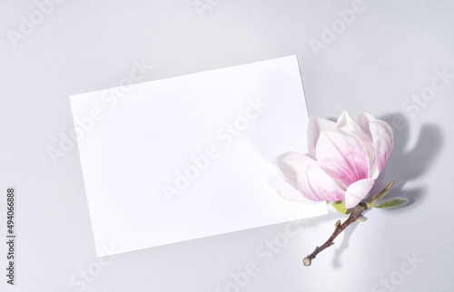 Magnolia springtime minimalistic still life. Wedding stationery mock-up scene with magnolia flower and blank greeting card. Zen natural concept, copy space