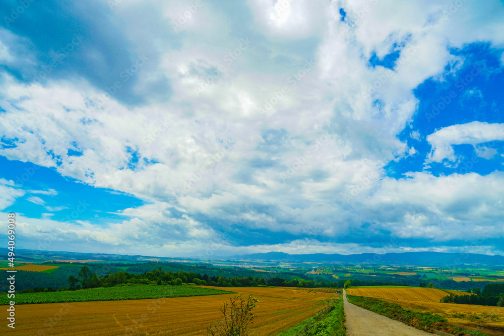Obraz premium 就実の丘（北海道旭川）