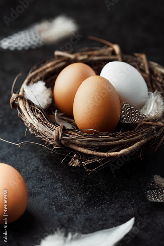 Eier im Nest vor dunklem Hintergrund