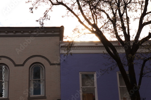 Purple Building Exterior, Tree Silhouette © Loraine