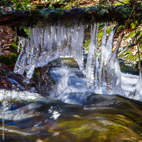 Spring comes melting the ice