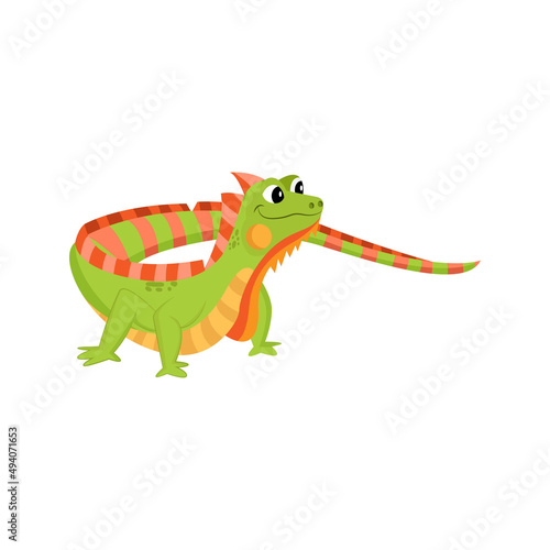 Fototapeta Naklejka Na Ścianę i Meble -  Isolated green iguana animated animals jungle vector illustration