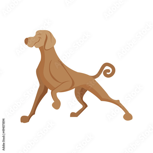 Isolated brown dog turtle animated animals jungle vector illustration