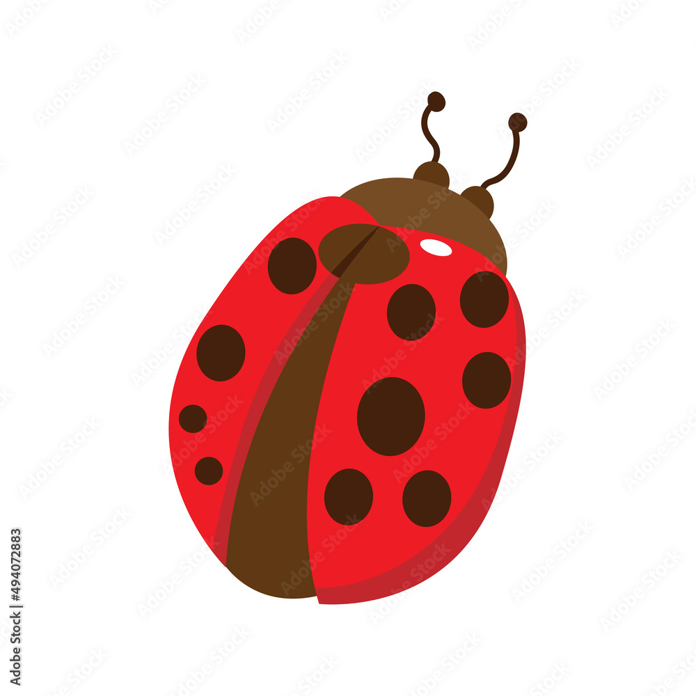 Isolated red ladybug animated animals jungle vector illustration Isolated red ladybug animated animals jungle vector illustration