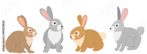 cute rabbits set flat design, isolated, vector