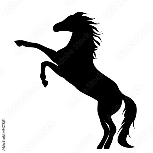 horse black silhouette isolated vector photo