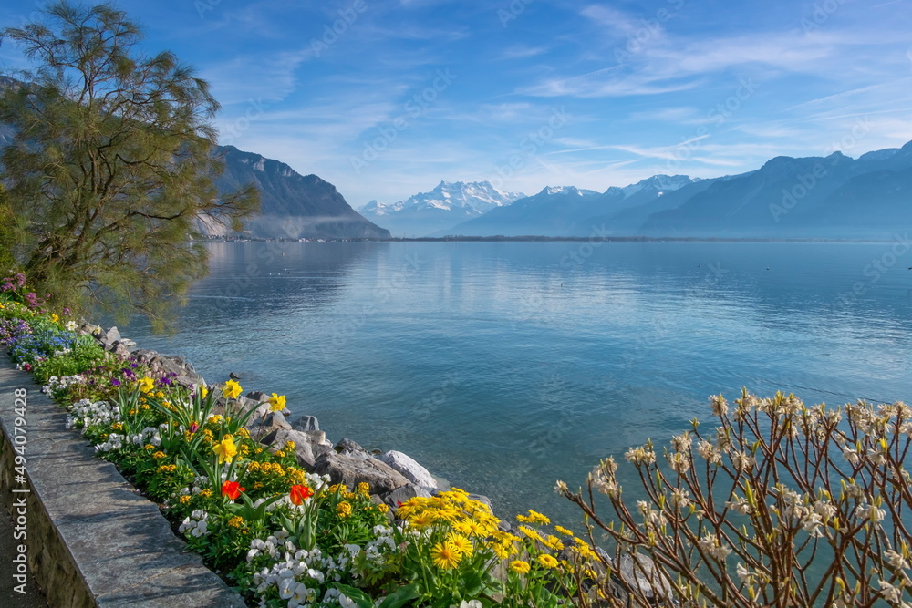 Φωτογραφία Plants and flowers next to Geneva Leman lake at Montreux, Switzerland