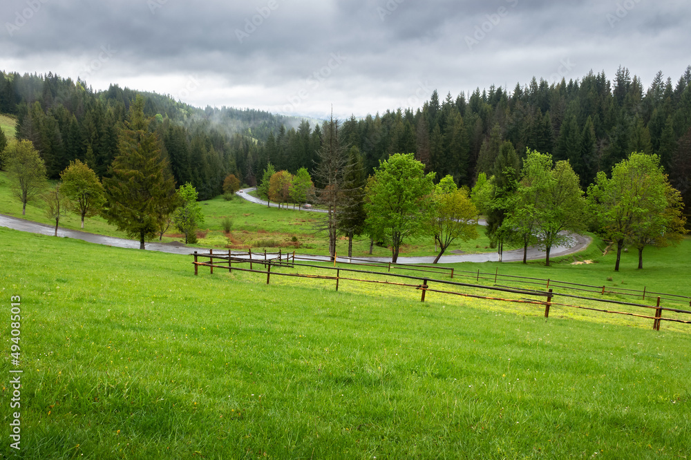 countryside landscape on an overcast day. agriculture field behind the wooden fence. spruce forest on the grassy hill. low clouds hiding the distant mountain countryside landscape on an overcast day. agriculture field behind the wooden fence. spruce forest on the grassy hill. low clouds hiding the distant mountain