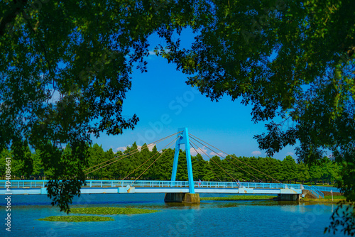水元公園の水元大橋 © kanzilyou