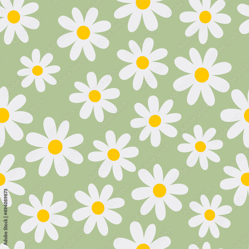 Chamomile. Florar seamless pattern. Green background. Vector