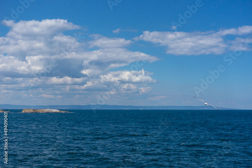 Seagull soars above the sea. Daytime seascape