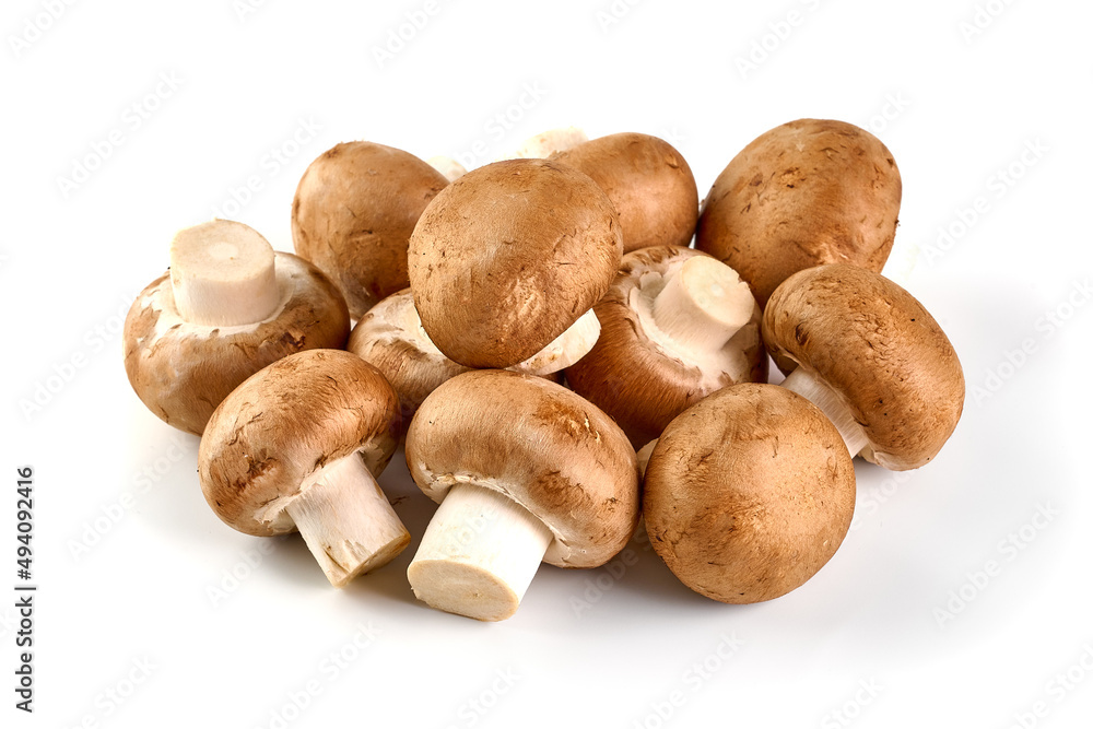 Royal brown champignons, isolated on white background. Royal brown champignons, isolated on white background.