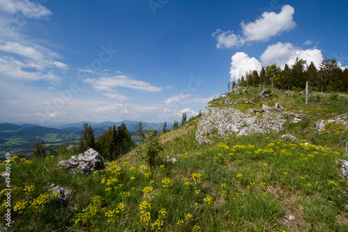 Beautiful mountain landscape and nature in the mountains of Austria photo