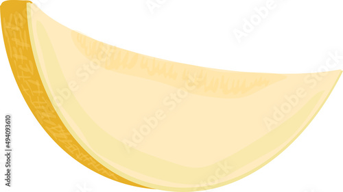 ripe piece of melon on white background illustration © dyachenkopro