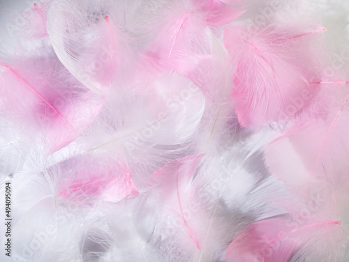 Pink and white fluffy bird feathers. Beautiful fog. A message to an angel. The texture of delicate feathers. soft focus