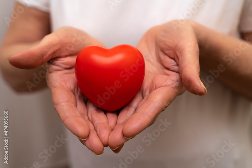 Hands holding red heart  healthcare  love  organ donation  mindfulness  wellbeing  family insurance and CSR concept  world heart day  world health day  national organ donor day