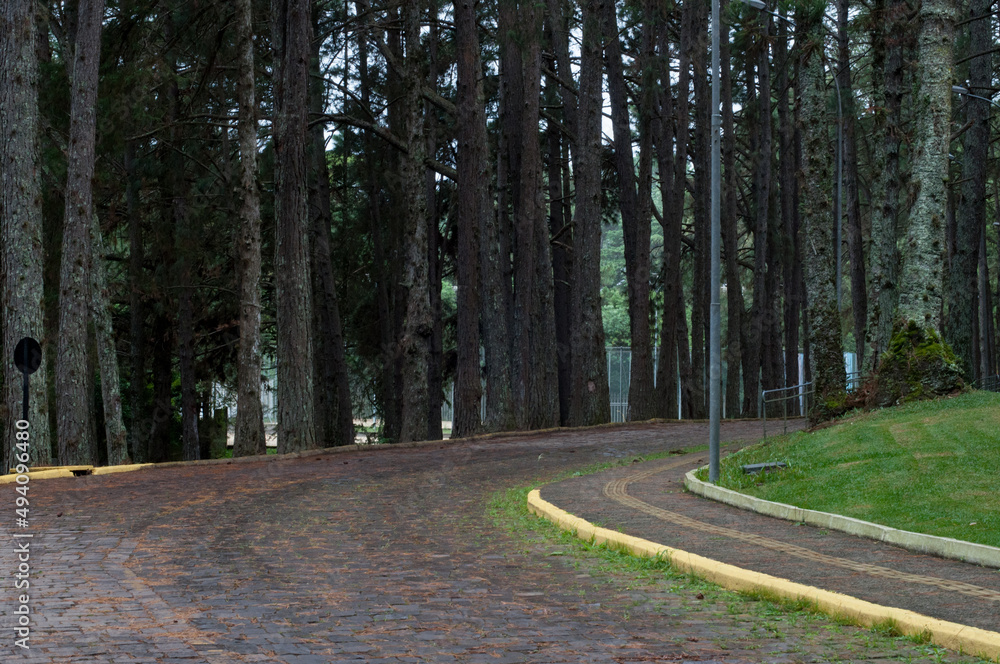 Obraz premium Photograph of a path in the park on a cloudy day 