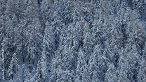 winter in the mountains