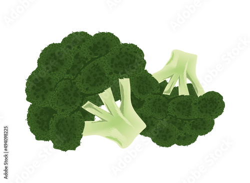broccoli vegetable icon