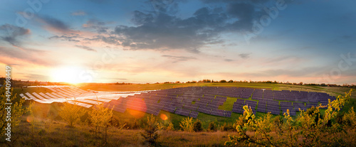 big panoramic view of solar panels field at sunset, glare bokeh at evening sky, alternative energy concept © pavlobaliukh