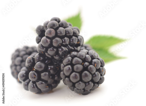 Closeup shot of fresh blackberries.