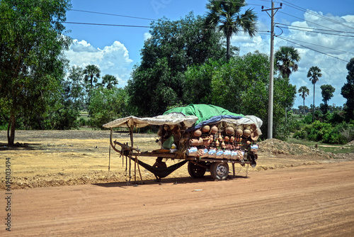 Coconut carriage