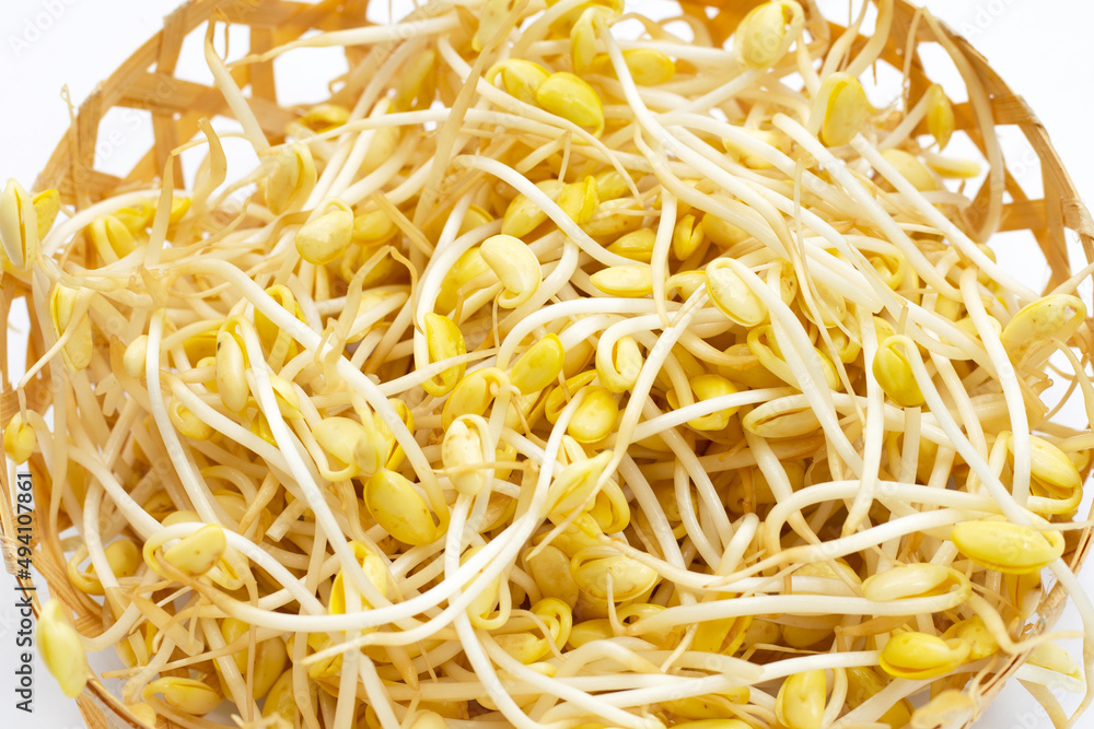 Fresh soybean sprouts for cooking.