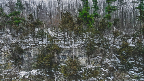 A steep icy ledge in the forest