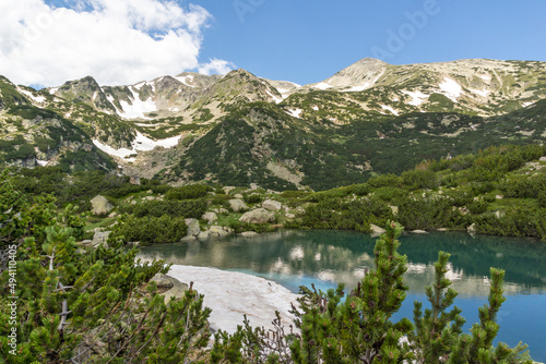 Landscape of Pirin Mountain near Popovo Lake  Bulgaria