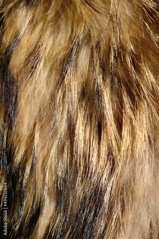 Fototapeta premium long fur texture from the tail of a fox or other mammal animal - hairy vertical pattern with golden, yellow and brown tones