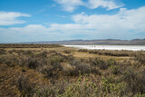 Carrizo Plain National Monument, California. Soda Lake, native plants, mountains, and cloudy sky background