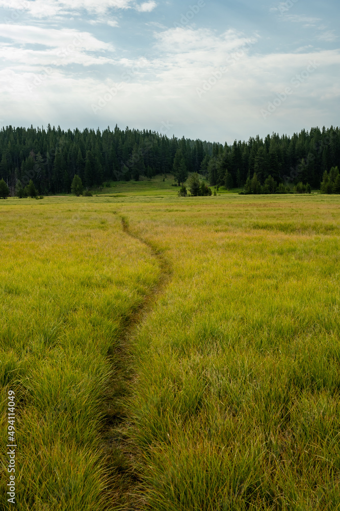 Faint Trail Through Meadow To Wrangler Lake Faint Trail Through Meadow To Wrangler Lake