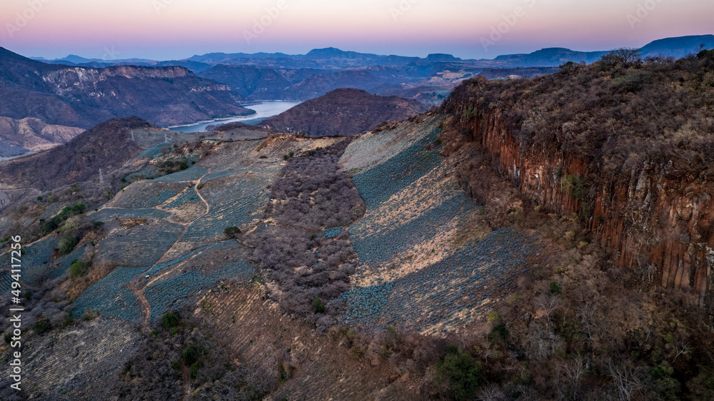 paisaje de tequila jalisco o paisaje agavero en la zona de tequila