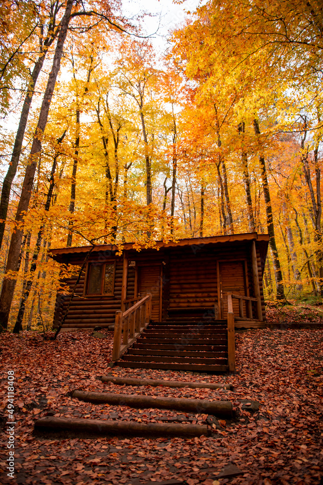 Autumn season in Bolu Yedigöller . wooden house in the forest Autumn season in Bolu Yedigöller . wooden house in the forest