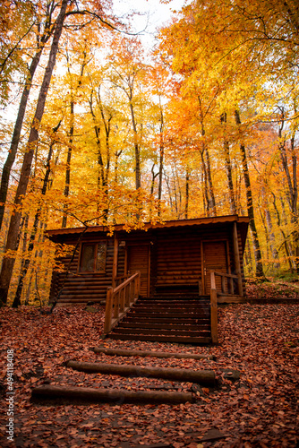Autumn season in Bolu Yedigöller .  wooden house in the forest 