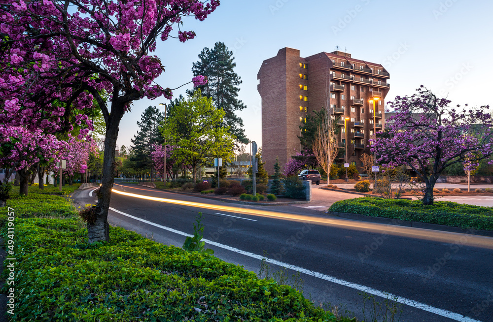 Urban street in beautiful spring twilight Urban street in beautiful spring twilight